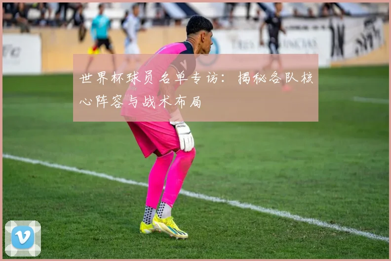 世界杯球员名单专访：揭秘各队核心阵容与战术布局