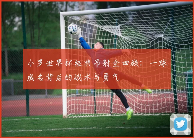 小罗世界杯经典吊射全回顾：一球成名背后的战术与勇气