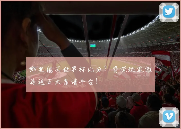 哪里能买世界杯比分？资深玩家推荐这五大靠谱平台！