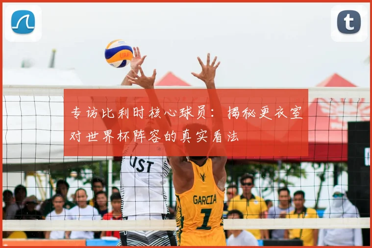 专访比利时核心球员:揭秘更衣室对世界杯阵容的真实看法