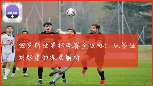 俄罗斯世界杯观赛全攻略：从签证到球票的深度解析