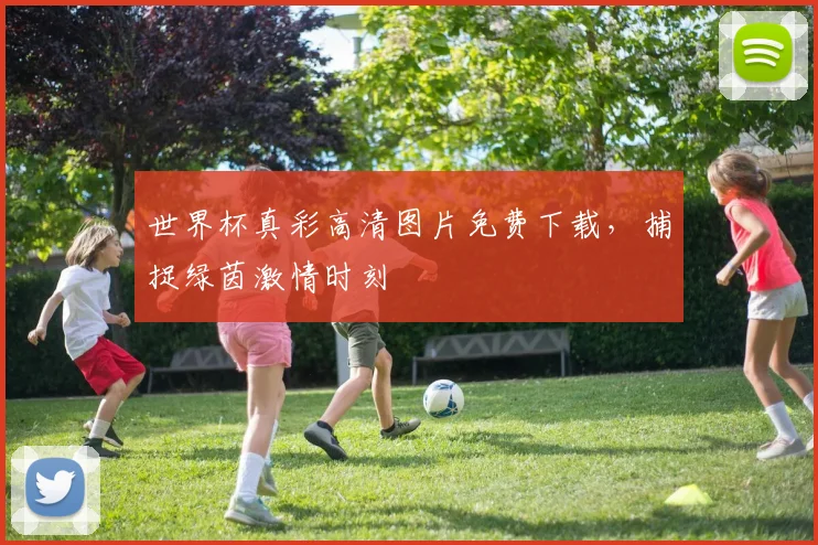 世界杯真彩高清图片免费下载，捕捉绿茵激情时刻