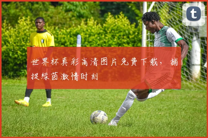 世界杯真彩高清图片免费下载，捕捉绿茵激情时刻