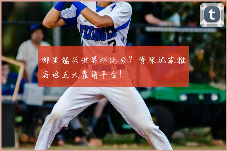 哪里能买世界杯比分？资深玩家推荐这五大靠谱平台！