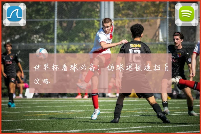 世界杯看球必备：伪球迷快速扫盲攻略