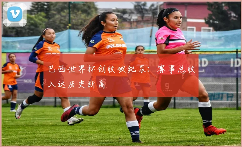 巴西世界杯创收破纪录：赛事总收入达历史新高